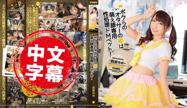 IPZ-969 Gangbang Destroys Otaku Goddess into Cumdump! Yume Nishimiya