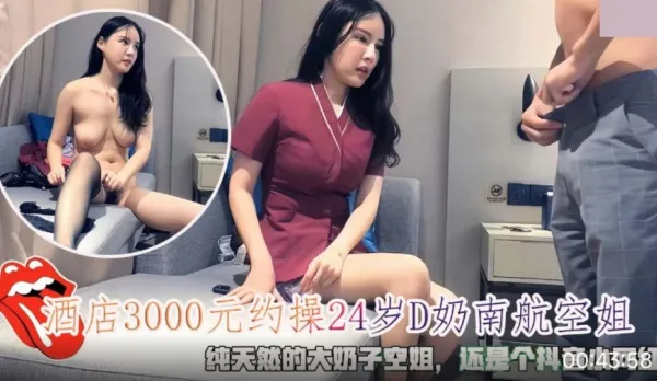 Hotel 3000 to Fuck 24yo D-Cup Southern Airlines Stewardess Natural Huge Tits