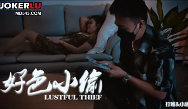 69FILMS1046 Horny Thief