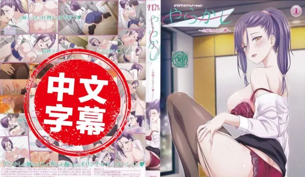 Negotiation Fail ~ Sexy Big Sis OL