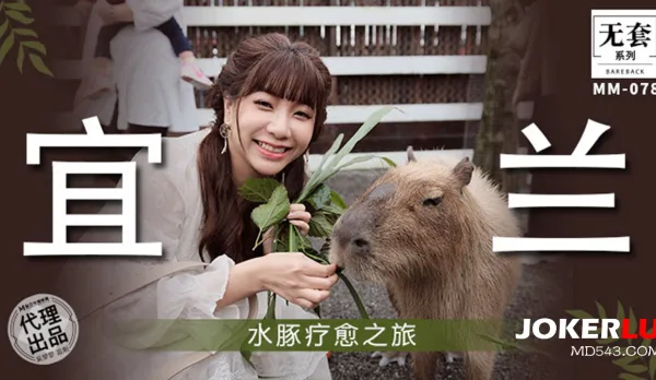 MM-078 Capybara Healing Journey