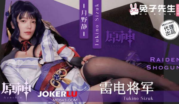 TZ-117 Interview Trap Hidden Rule Raiden Shogun Genshin Cosplay