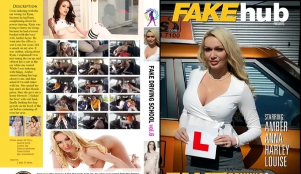 Fake Driving School 6