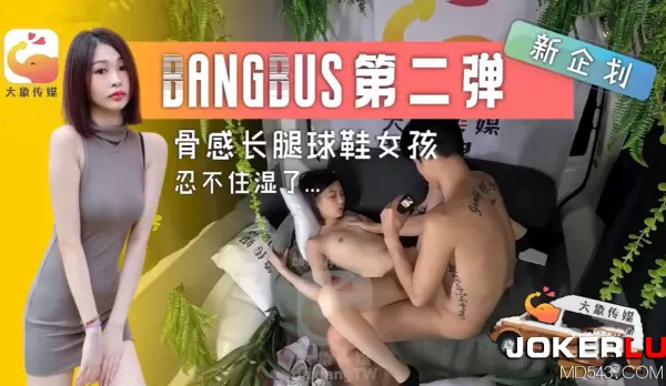 dx-005 Naughty Fuck Bus