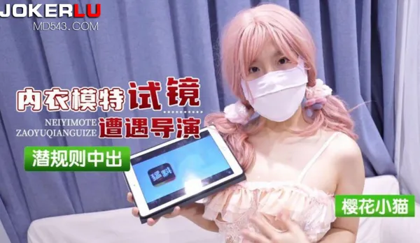 Lingerie Model Casting Hit by Director's Secret Rules