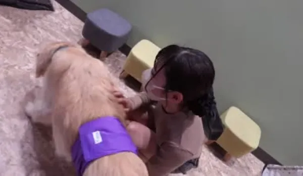 FC2PPV-3908097 Docile Soul and Soft Body Nurtured in the Vast Northern Wilderness